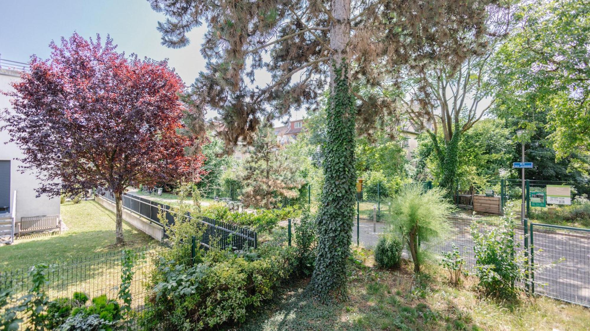 Les Alisiers - 3 Pieces - Climatise Apartment Strasbourg