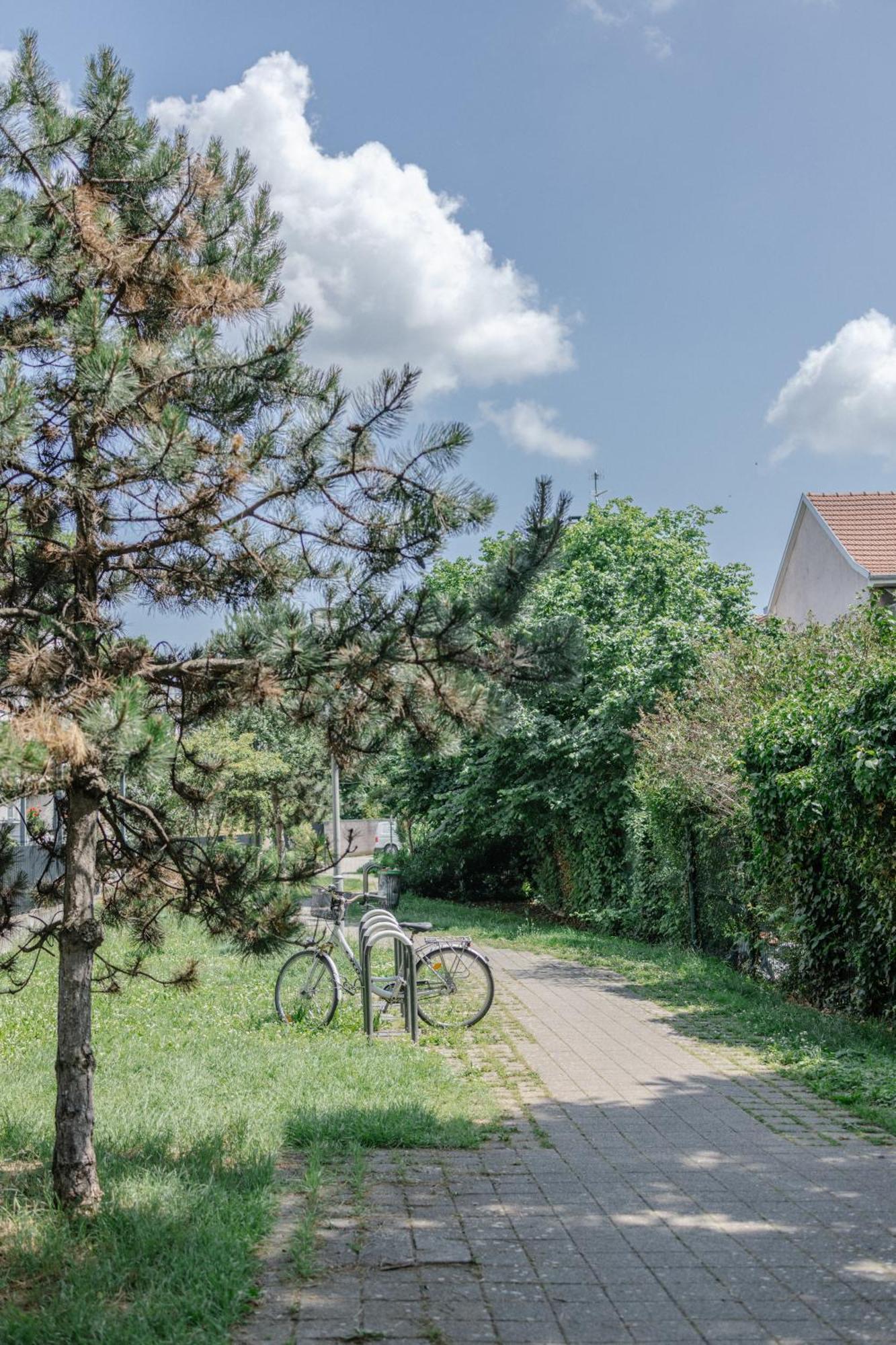 Apartment Les Alisiers - 3 Pieces - Climatise *